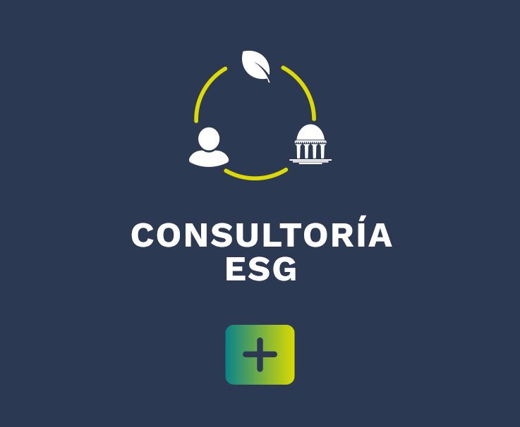 CONSULTORÍA ESG